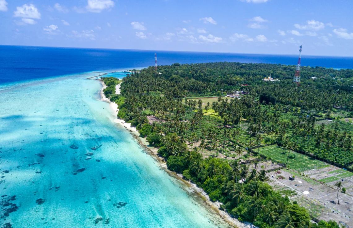 ތޮއްޑޫގައި ބަރަހަނާވެ އުޅުނު ފަތުރުވެރިޔަކު ހައްޔަރުކޮށްފި