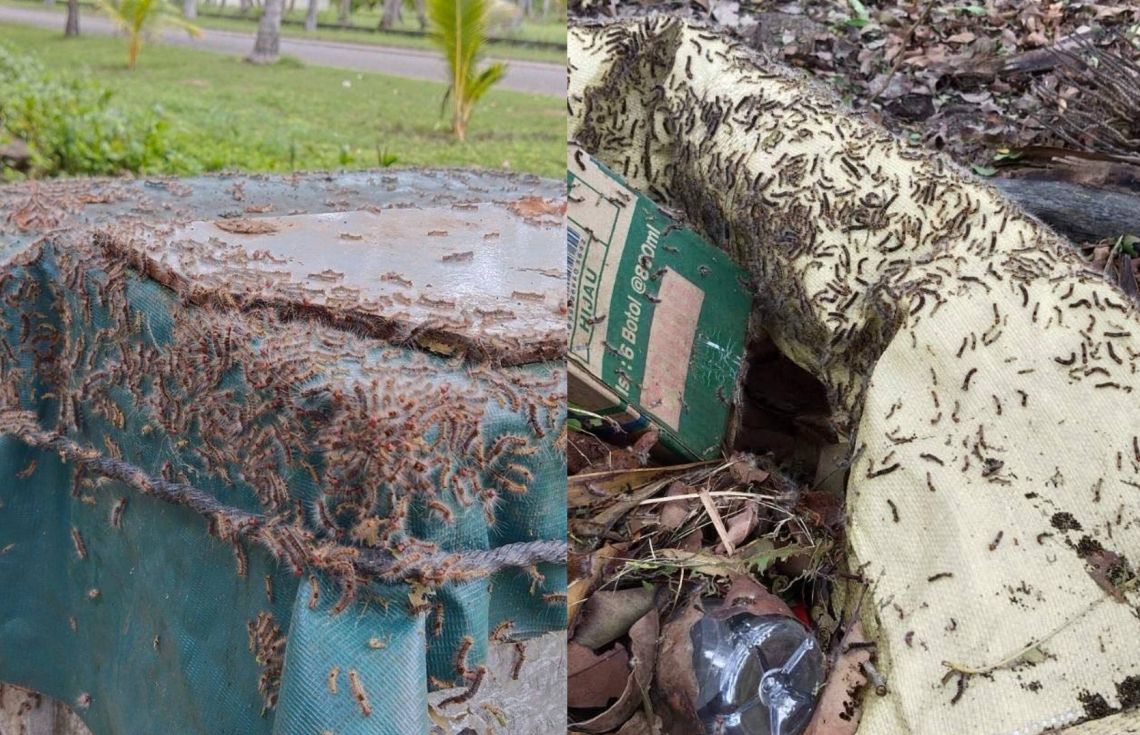 ކާޑެއްދޫ އެއަރޕޯޓު ހުވަނިން ފުރިފައި