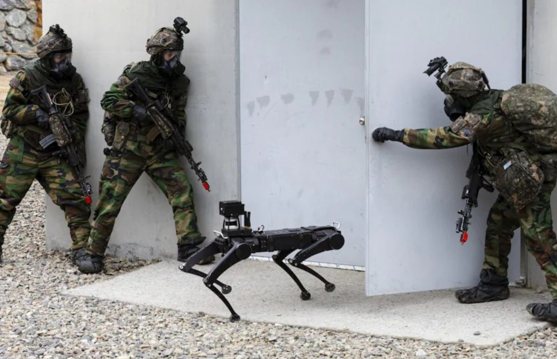 ބިމުއަޑީގެ ހަނގުރާމައަކަށް އެމެރިކާއިން ރޮބޮޓު ކުއްތާތައް ތަމްރީނުކުރަނީ