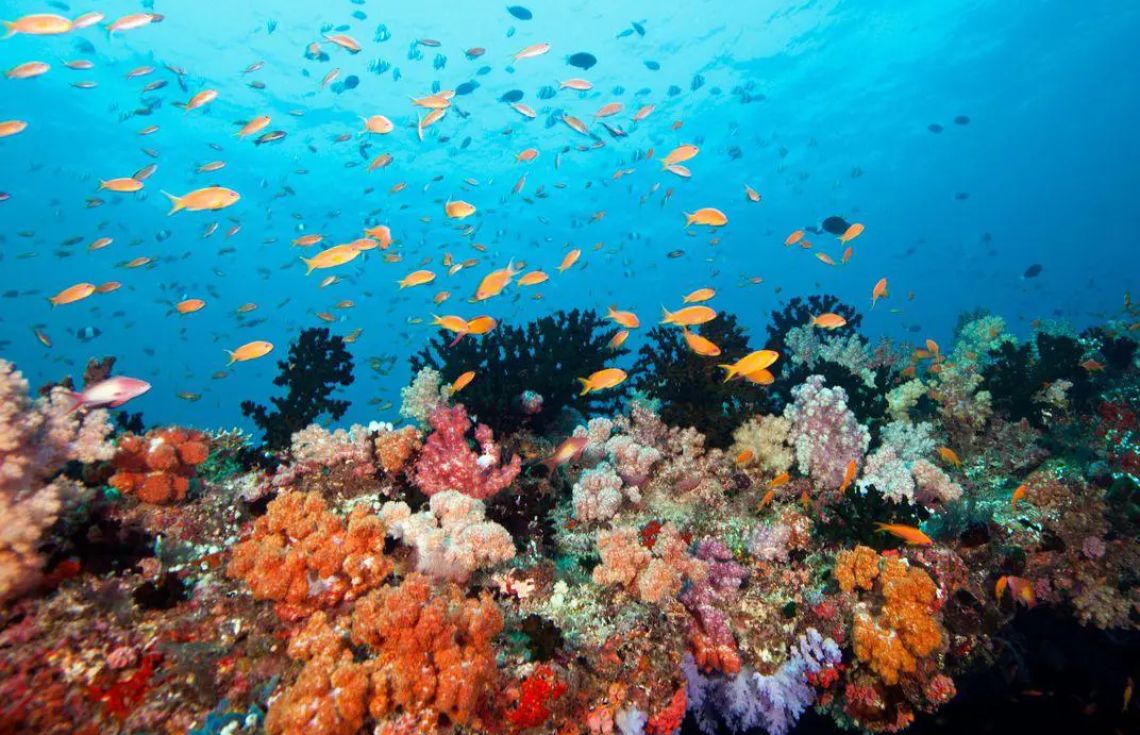 ރާއްޖޭގެ މުރަކަތައް ރައްކާތެރިކުރުމަށް މަސައްކަތް ފަށައިފި