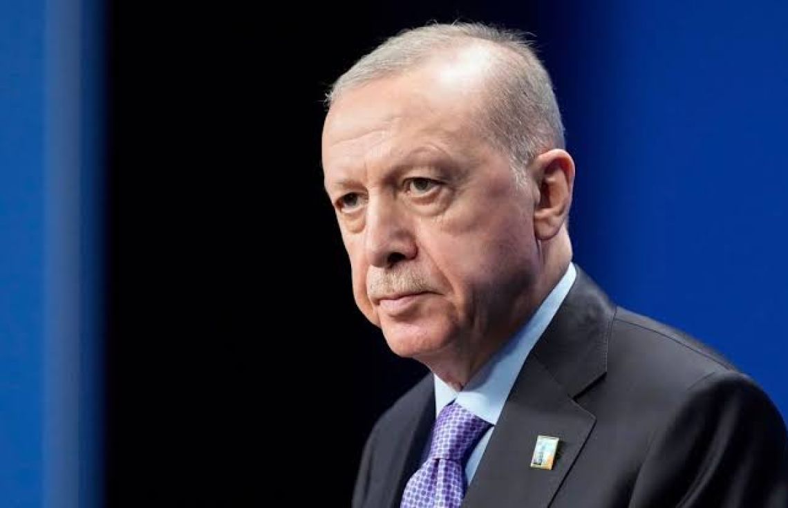 ހަތިޔާރުތައް އަންދާލައި ޓެރަރިސްޓުން އެރްދޮޣާންގެ ކުރިމަތީ ކުޑަކަކޫ ޖަހައިފި