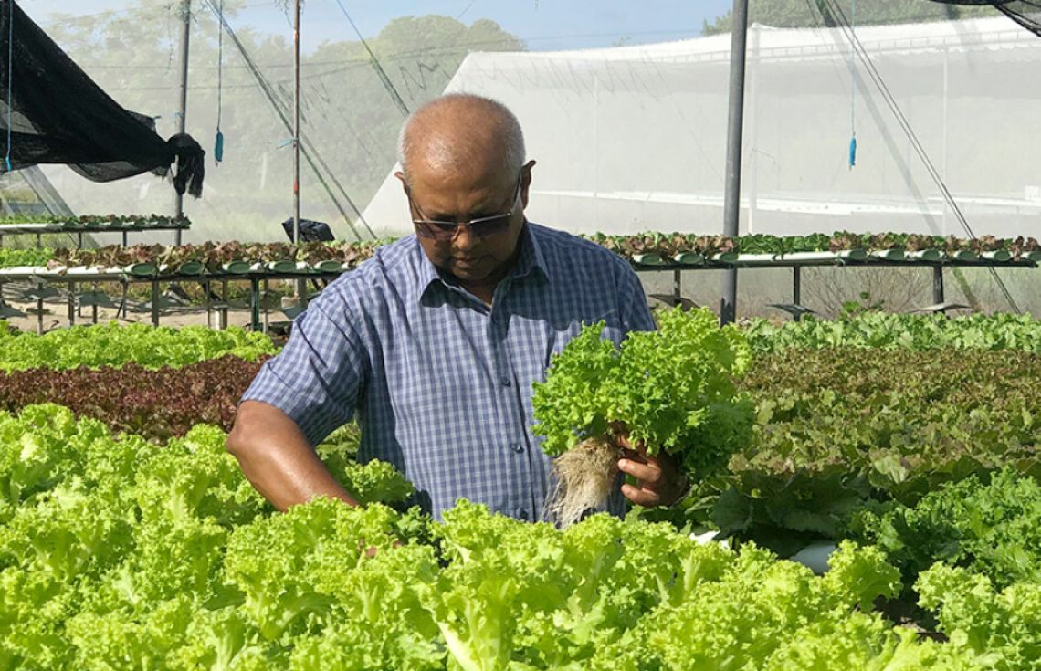 ކުދި އަދި މެދު ފަންތީގެ ދަނޑުވެރިކަމުގެ ވިޔަފާރިތަކަށް މާލީ އެހީތެރިކަން ހޯދުމުގެ ފުރުސަތު ހުޅުވާލައިފި