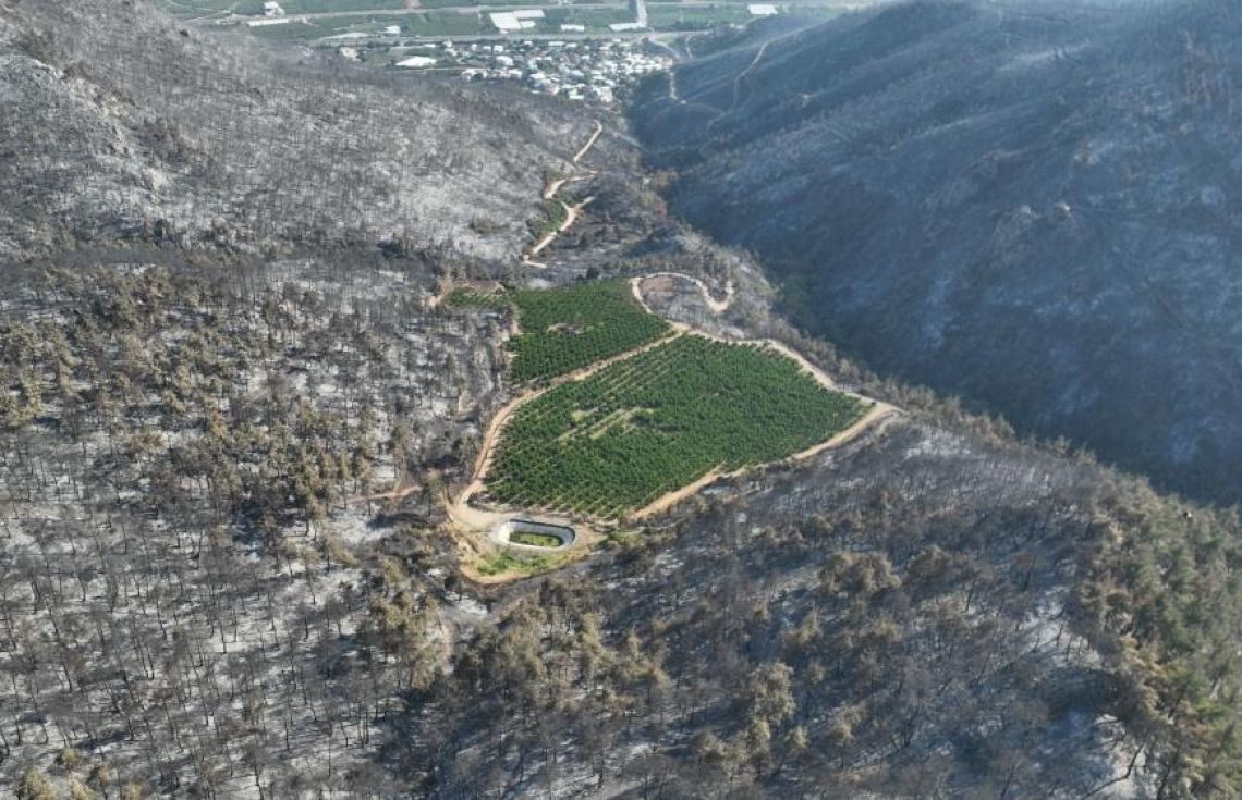 ތުރްކިޔޭގެ އަލިފާން: ﷲގެ ކުޅަދުންވަންތަކަމުގެ މަންޒަރެއް ފެނިއްޖެ