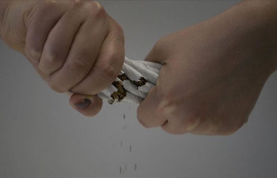 ދުންފަތުގެ ބާވަތްތަށް ވިއްކުމަށް 200 އަށް ވުރެ ގިނަ ލައިސަންސު