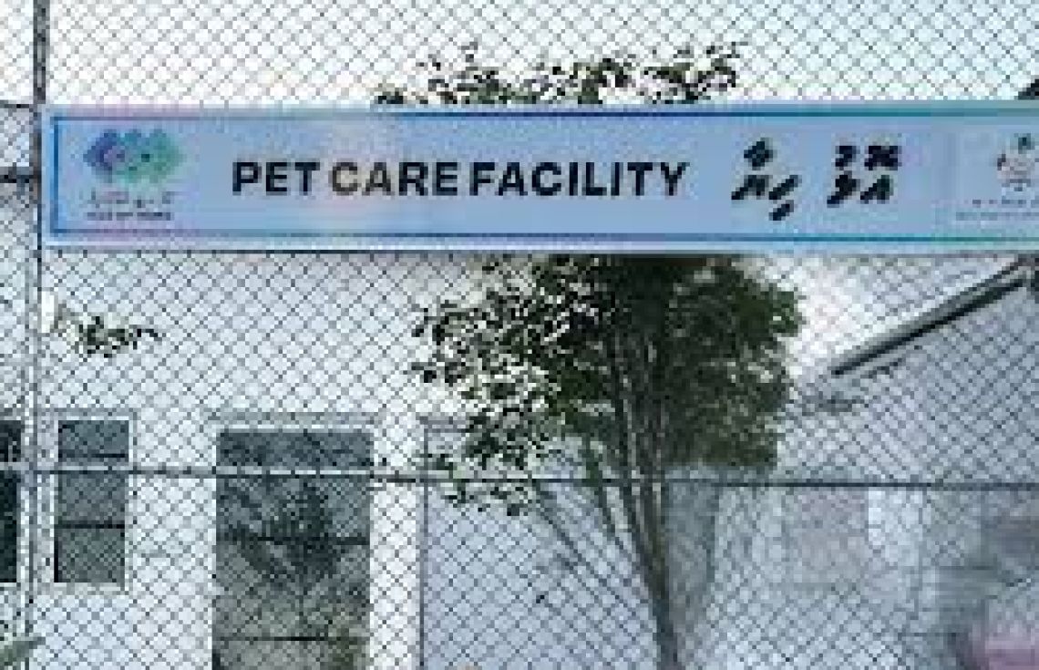 112 ބުޅާ އޮޅުހިޔާ ފެސިލިޓީއަށް ބަދަލުކޮށްފި