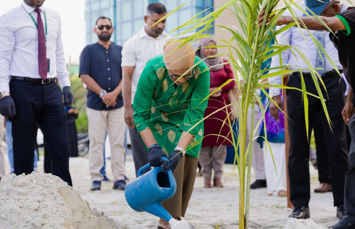 ހުޅުމާލެ ފޭސް ދޭއްގައި 60 ރުއް އިންދުން/ ފޮޓޯ: ވުޒާރާ