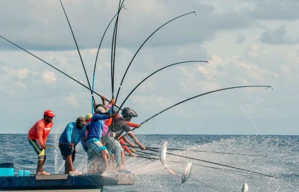 މަސްވެރިކަމުގައި ޒުވާނުންގެ ބައިވެރިވުން އިތުރުކުރުމަށް ޕްރޮގްރާމެއް ކުރިއަށް ގެންދަނީ