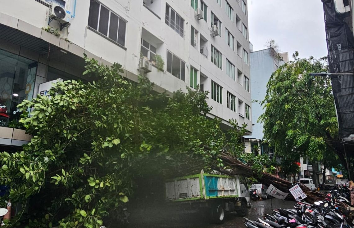 ވައިގަދަވުމުގެ ސަބަބުން އޯކިޑުމަގުގައި ހުރި ގަހެއް ވެއްޓިއްޖެ