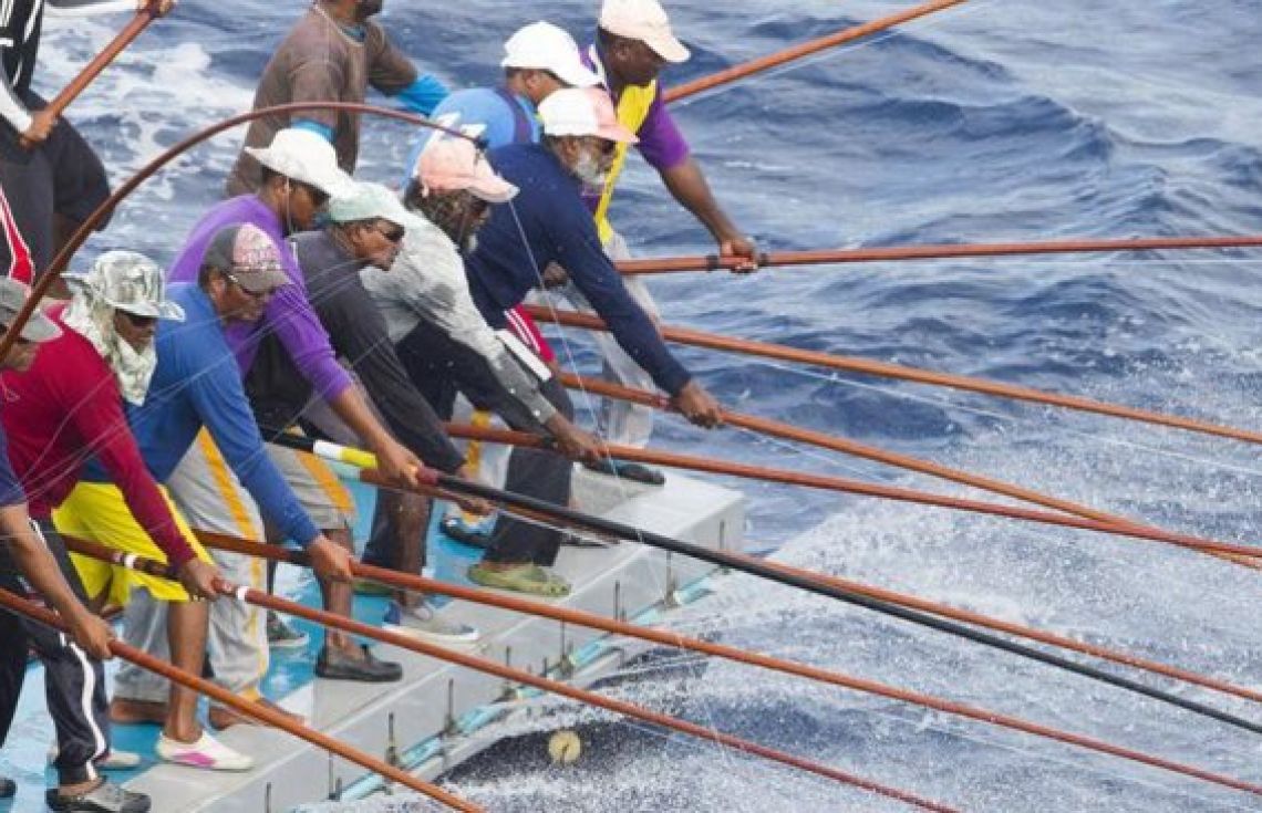 މަސްވެރިކަމުގެ ތަމްރީނު ޕްރޮގްރާމެއް ބާއްވަނީ