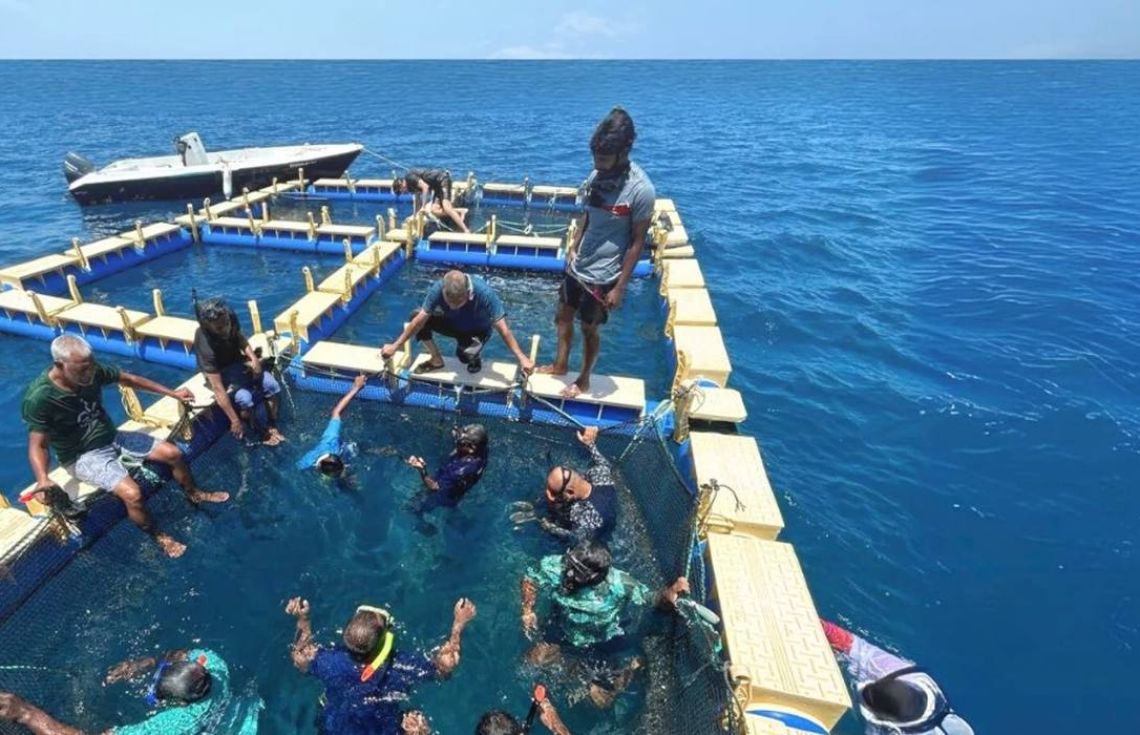 މެރިން ހެޗަރީ ސްކިލސް ޑިވެލޮޕްމަންޓް ޕްރޮގްރާމެއް ބާއްވަނީ