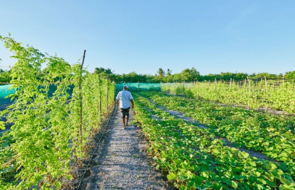 އެލަވެންސްތަކާއެކު ދަނޑުވެރިކަމުގެ ދާއިރާއިން ހިލޭ ކިޔެވުމަށް 10 ސްކޮލާޝިޕް ހުޅުވާލައިފި