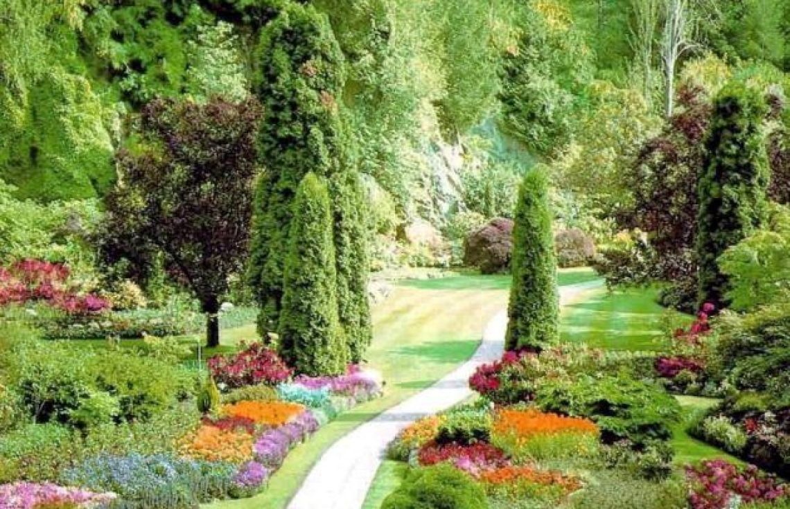 ސުވަރުގެއަށް އެންމެފަހުން ވަންނަމީހާއަކީ ކޮބާ؟