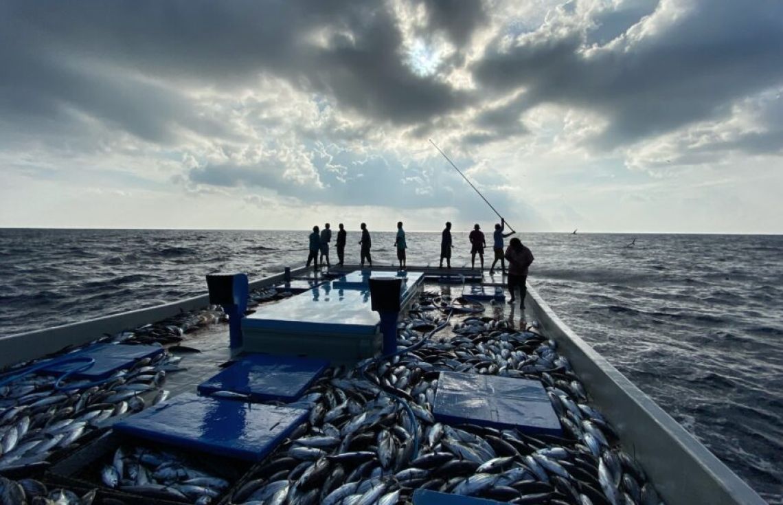 ކެޔޮޅުންގެ އެވޯޑަށް ކުރިމަތިލާން ހުޅުވާލައިފި!