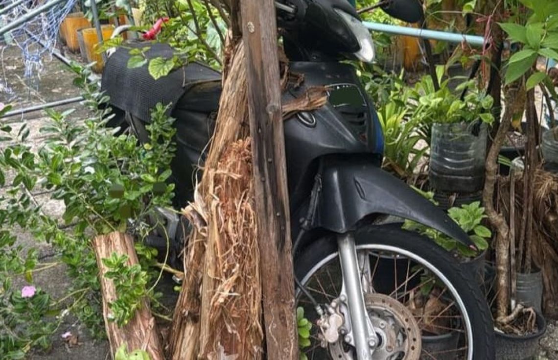 ހަލާކުވެފައިވާ އަދި ބޭނުންނުކޮށް ގިނަ ދުވަސްވެފައިވާ އުޅަނދުތަކުގެ މައުލޫމާތު އެއްކުރަން ފަށައިފި