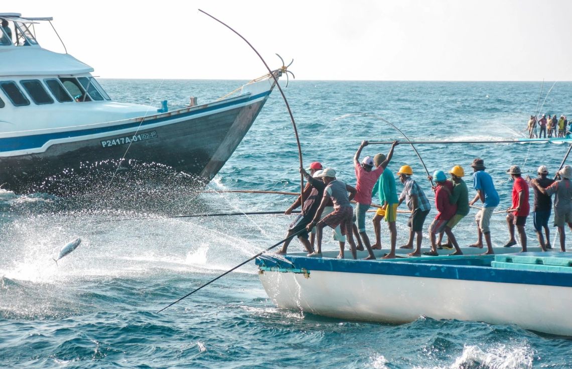 މަސްވެރިކަމަށް ޝައުގުވެރިކަން އުފެއްދުމަށް ޒުވާނުންނަށް ހާއްސަކޮށްގެން ޕްރޮގްރާމެއް ފަށައިފި