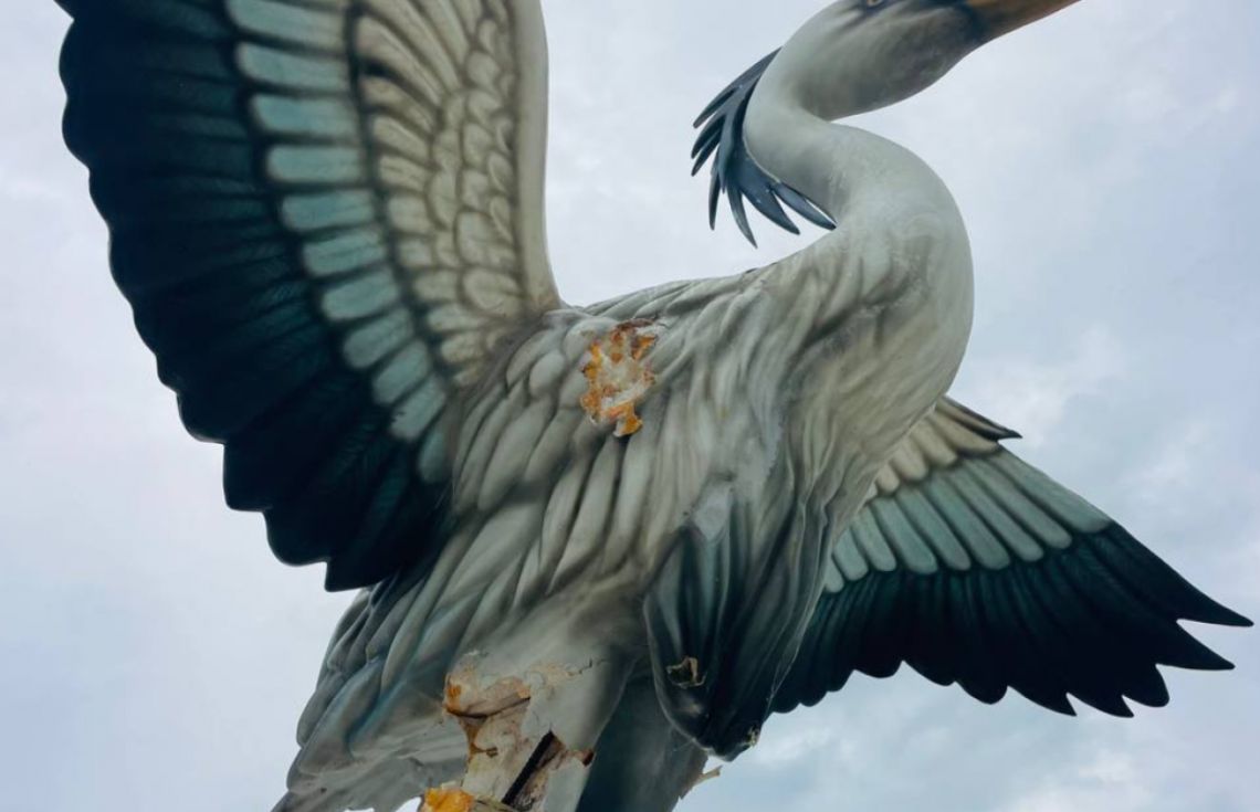 ދިރޭ ތަކެތީގެ ސިފައިގައި މޮނިއުމެންޓް ހެދުމާއި ބެހެއްޓުމަކީ ހަރާމް ކަމެއް: ފަތުވާ މަޖިލިސް