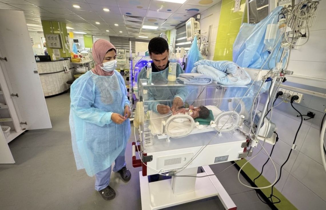 ހަމަސްތެރޭ ޣައްޒާގެ 2،600 މީހުންގެ ބަނޑުގައިވާ ދަރިން ވަނީ ބައިގެން ގޮސްފަ