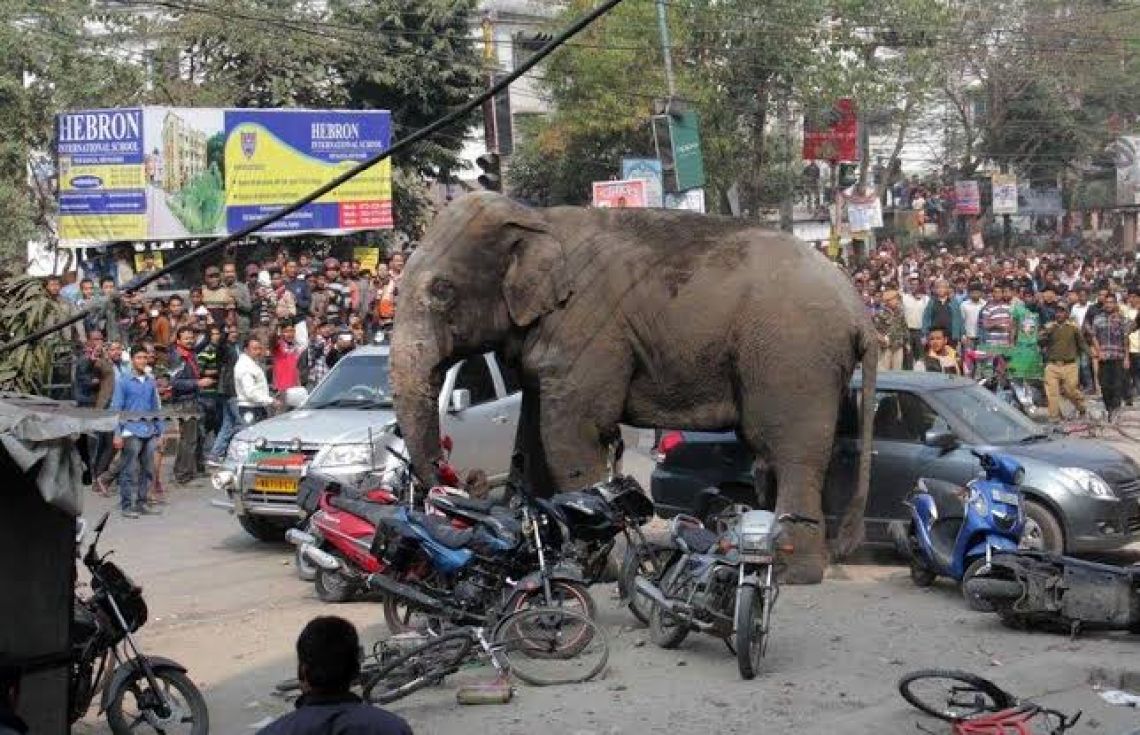 އިންޑިއާ ރައްޔިތުންނަށް ޙަމަލާދޭ ނުރައްކާތެރި އެތެއް އަތުލަން ލަޝަކަރެއް ފޮނުވައިފި