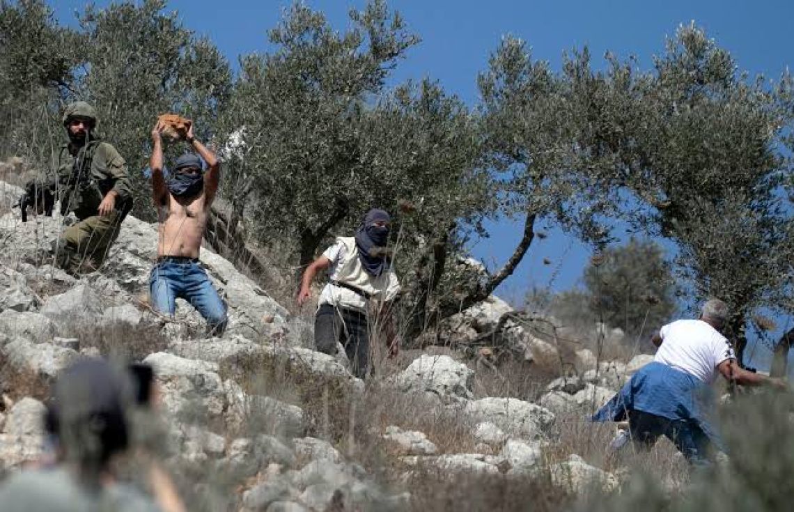 ޔަހޫދީން ނުކުމެ ފަލަސްޠީނުގެ ޒައިތޫނިގަސްތައް ކަނޑައި ވިހަ އަޅަނީ