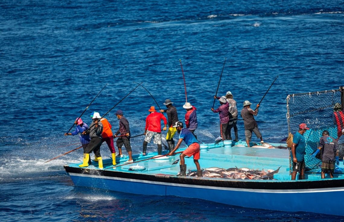 ދިވެހި މަސްވެރިން. މިދިޔަ އަހަރު ކަނޑު މަސް އެކްސްޕޯޓުކޮށްގެން 123 މިލިއަން ޑޮލަރުގެ އާމްދަނީއެއް ރާއްޖެއިން ވަނީ ހޯދާފަ---