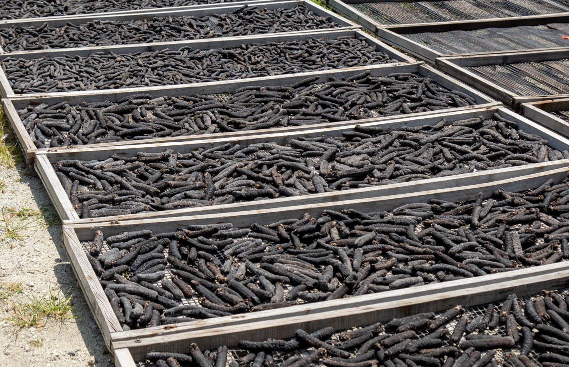 ޕީޖީގެ ލަފަޔާއެކު ފުލުހުން ހުއިފިލަނޑާތަކެއް ނީލަން ކިޔަނީ