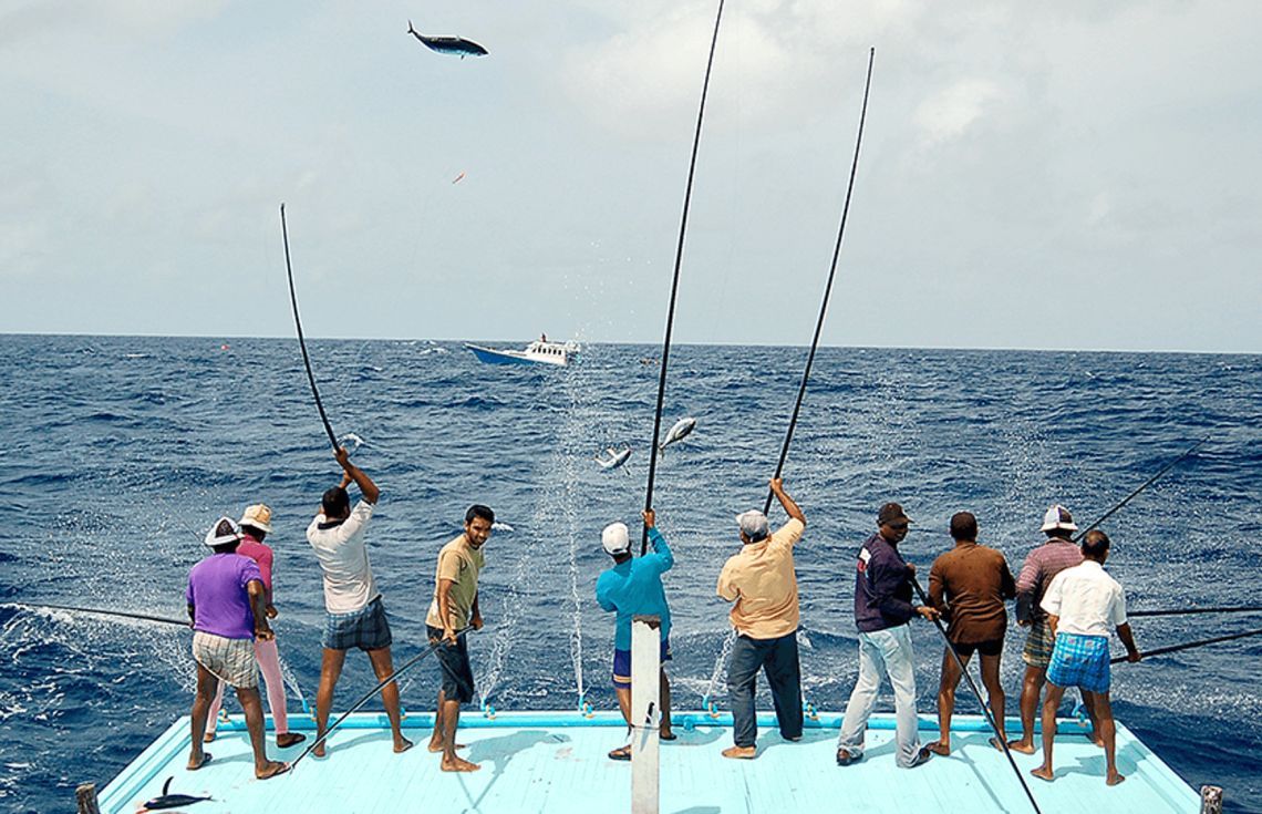 ދޯންޏަކުން މަސް ބާނަނީ: ސަރުކާރުން އިސްކަންދެނީ މަސްވެރިންނަށް ދޭންޖެހޭ ފައިސާ ލަސްނުކޮށް ވީހާވެސް އަވަހަށް ޖީބަށް ވަންނާނެ ނިޒާމެއް ގާއިމްކުރުން.