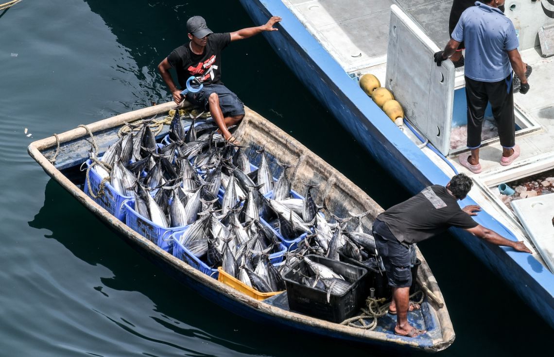 މިފްކޯ އިން 25އަށް ކިލޯއެއް ވިއްކީ ދައުލަތުން އިތުރަށް ފައިސާ ނަގައިގެން