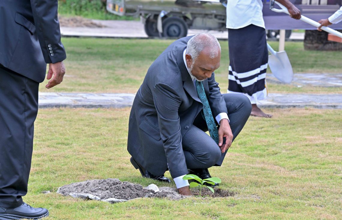 އަމާޒަކީ މިއަހަރު ނިމުމުގެ ކުރިން 2 މިލިއަން ގަސް އިންދުން