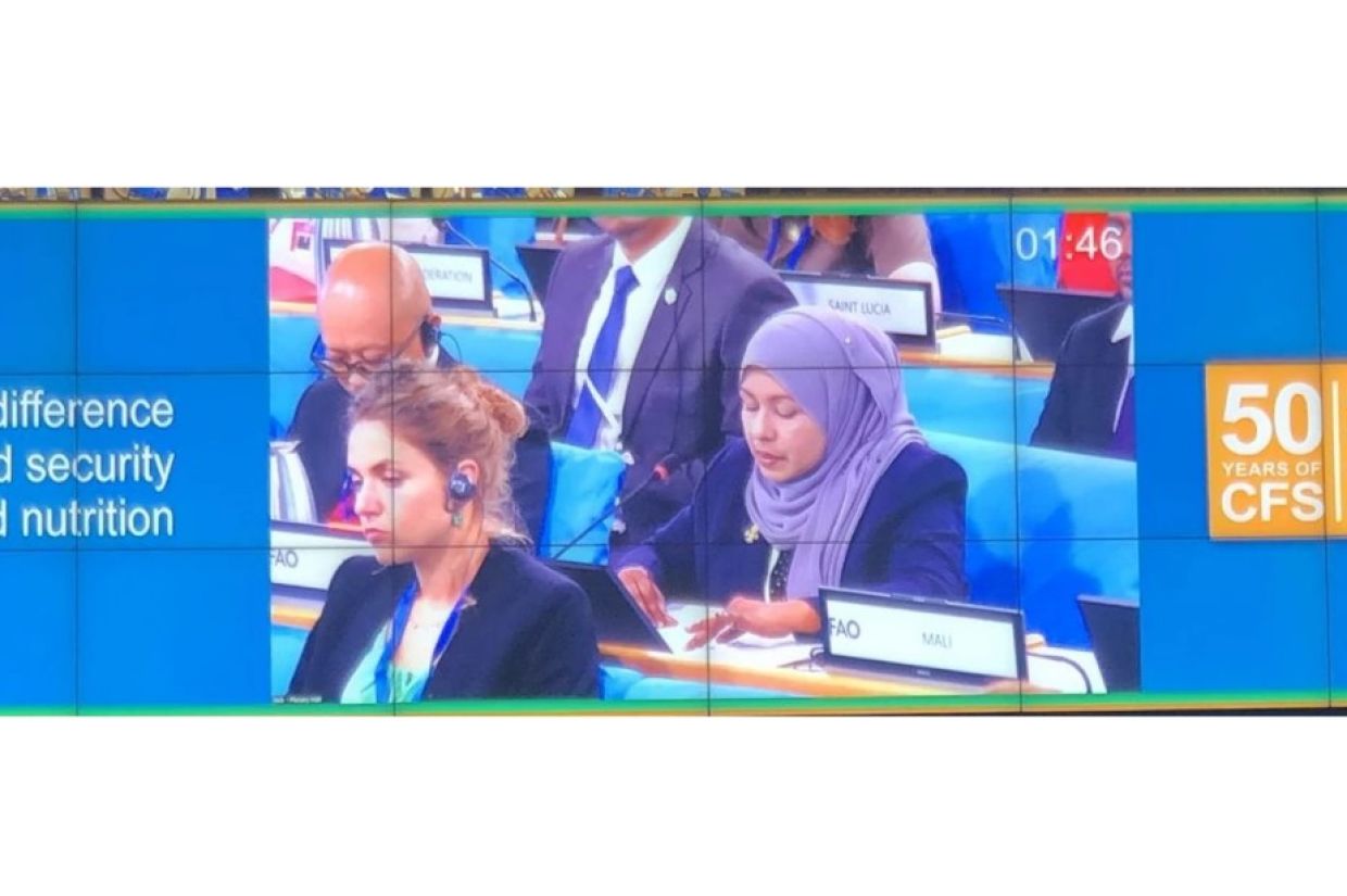 ކާނާގެ ޔަޤީންކަން ކަށަވަރުކުރުމަށް ބައިނަލްއަޤްވާމީ އެހީ ބޭނުންވޭ: ރަމީލާ