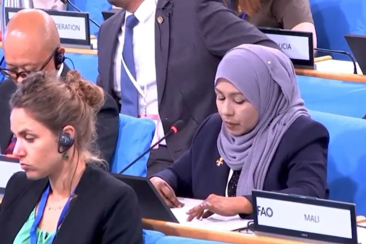 ފެނާއި ކާބޯތަކެތި ހަނގުރާމައިގެ ހަތިޔާރަކަށް ހެދުމަކީ ޤަބޫލުކުރެވޭނެ ކަމެއް ނޫން: ޑރ. ރަމީލާ