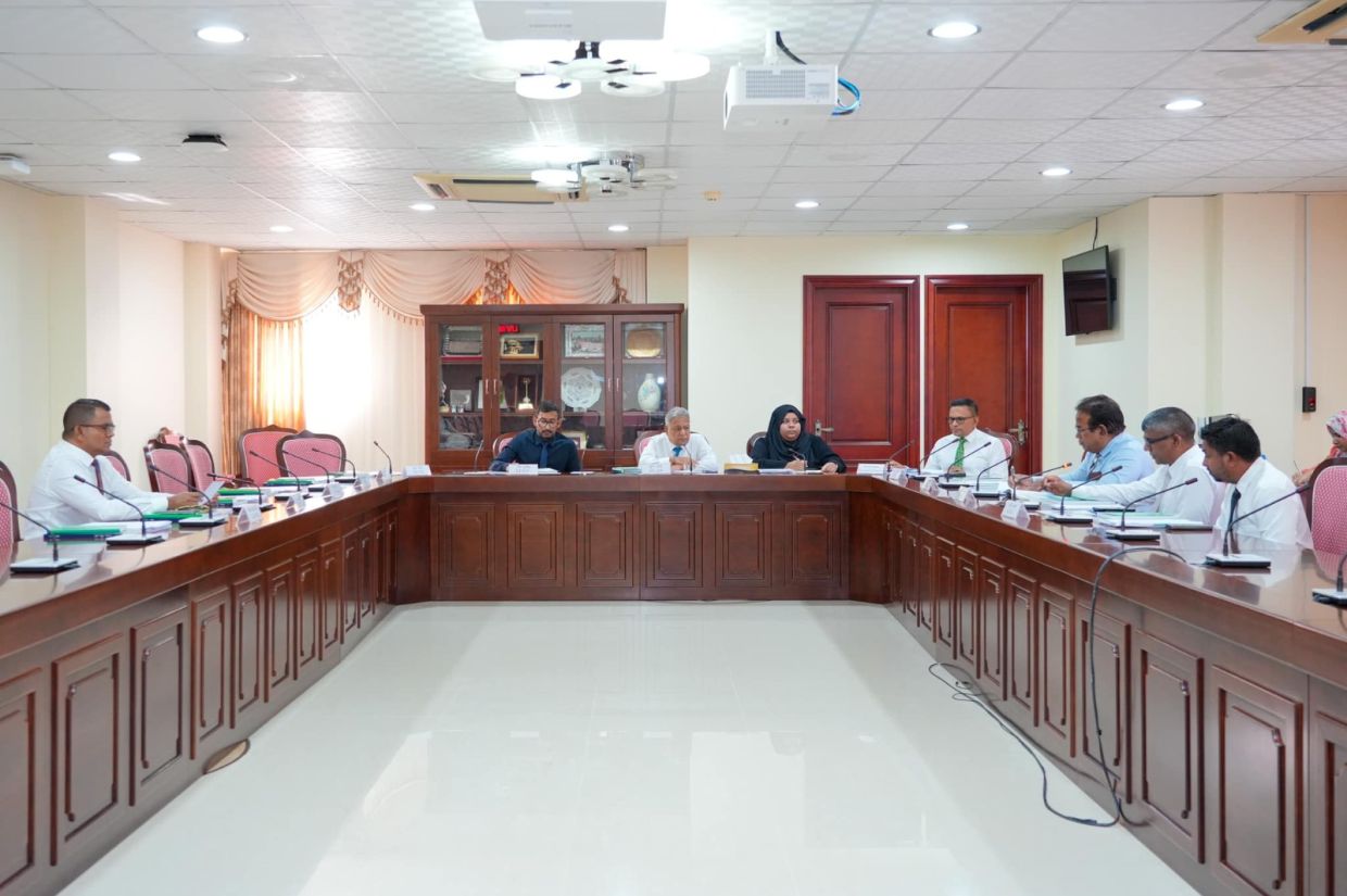 އިޒްރޭލު ޕާސްޕޯޓާމެދު 241 ކޮމިޓީން ފެބްރުއަރީ މަހުގެ ނިޔަލަށް ގޮތެއް ނިންމަން ފާސްކޮށްފި