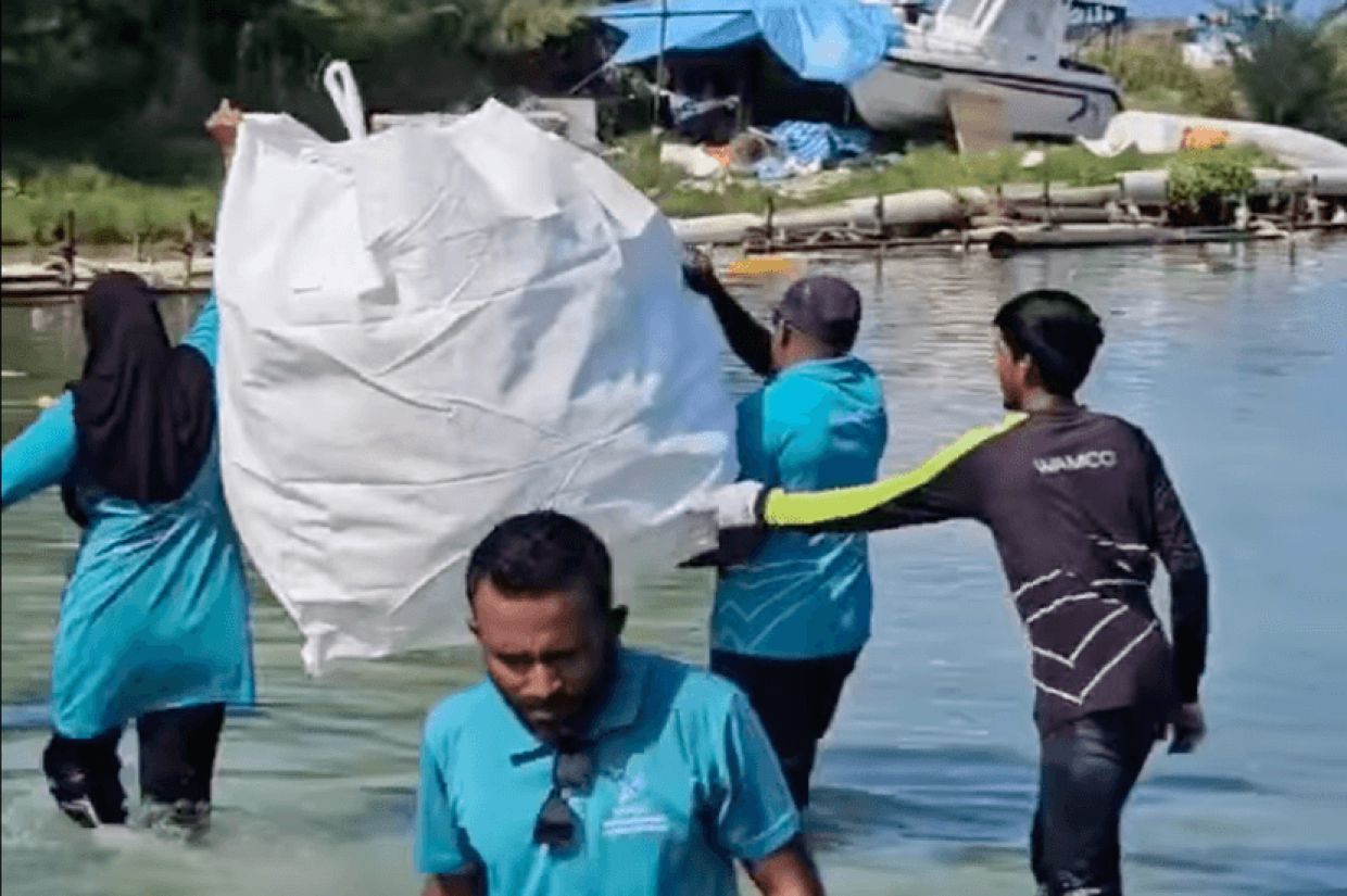 ބީޗްތައް ސާފުކުރުމަށް ވެމްކޯއިން ބޮޑު ހަރަކާތެއް ހިންގައިފި