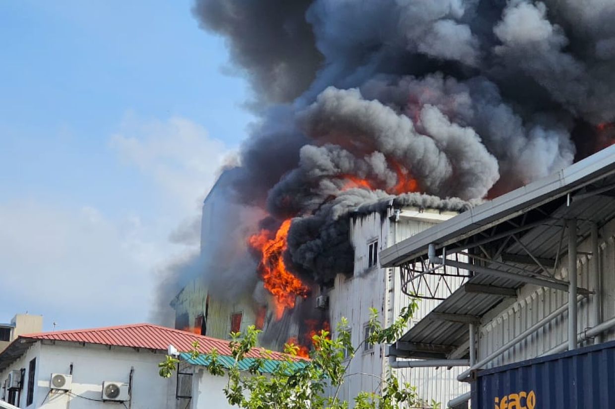 އަލިފާނުގެ ޙާދިސާއާ ގުޅޭ އެއްވެސް މަޢުލޫމާތެއް އެނގޭ ނަމަ ފުލުހުންނާ ޙިއްސާކުރަން އެދިއްޖެ