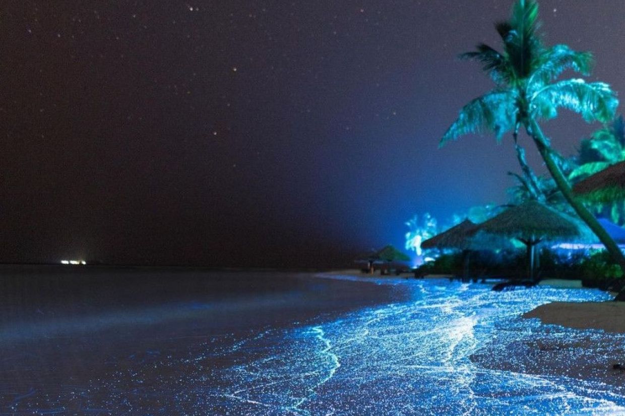 ފޮޓޯ: ސީފުރޮމްދަސްކައި