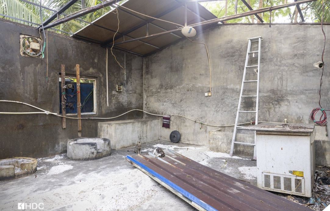 ނުތާހިރުކޮށް ކާބޯތަކެތި ތައްޔާރުކުރި ތަނަކުން 2 ބިދޭސީން އިމިގްރޭޝަނުގެ ބެލުމުގެ ދަށަށް ގެންގޮސްފި