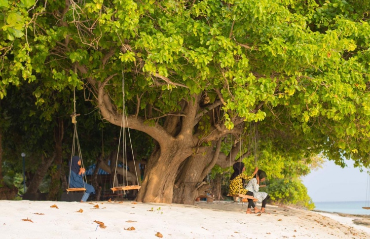 ކަނޑިތީމުގައި ސިހުރު ހެދިކަމަށް ތުހުމަތުކުރެވޭ މައްސަލަތަކެއް ފުލުހުން ބަލަނީ