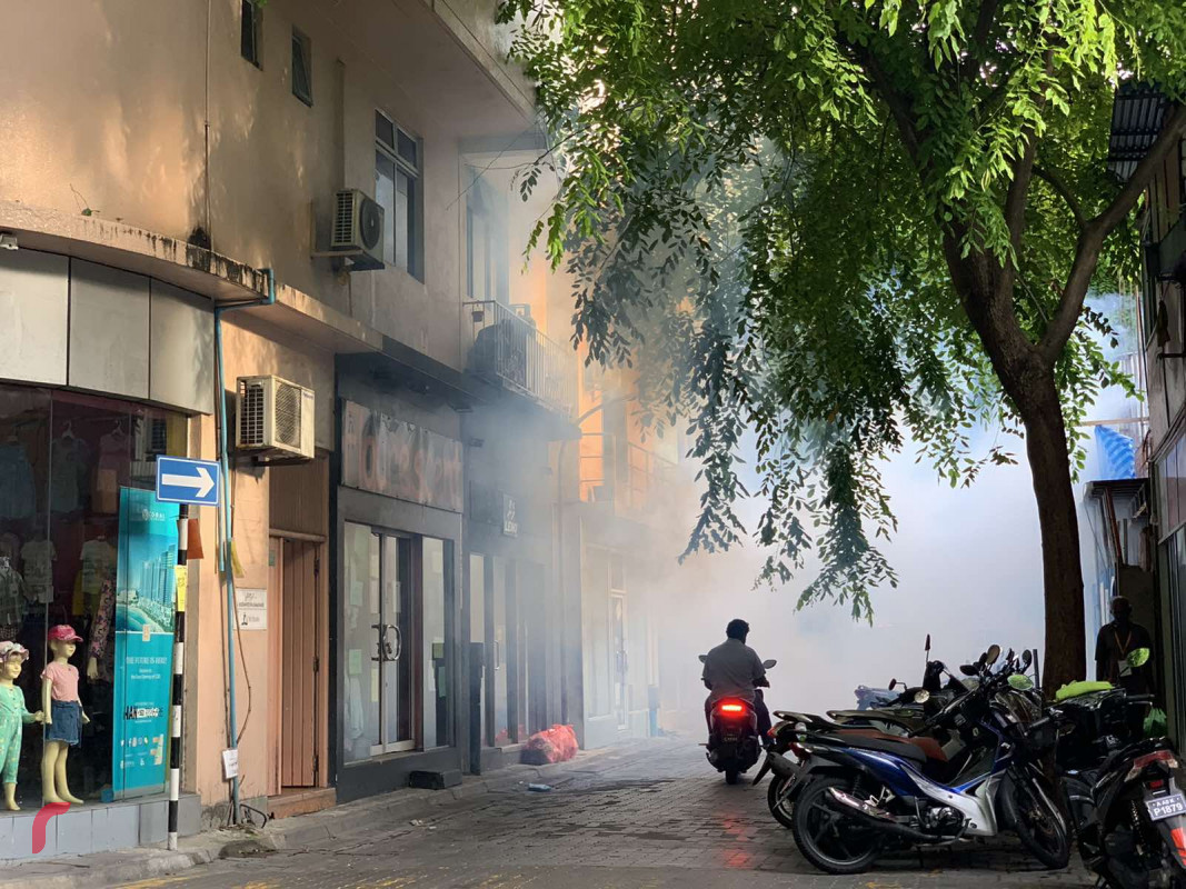 މިދިޔަ މަހު ޑެންގޫގެ 244 ކޭސް ރިޕޯޓުކުރި: އެޗްޕީއޭ