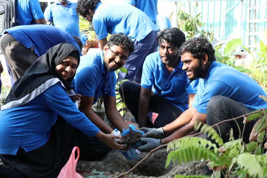 ތިމާވެށީގެ ދުވަސް ފާހަގަކުރަން ސްޓެލްކޯ މުވައްޒަފުން ގަސް އިންދަނީ