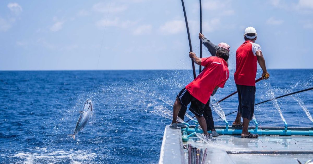މިފްކޯއިން މަސްވެރިންނަށް 6.5 މިލިޔަން ރުފިޔާ ދޫކޮށްފި