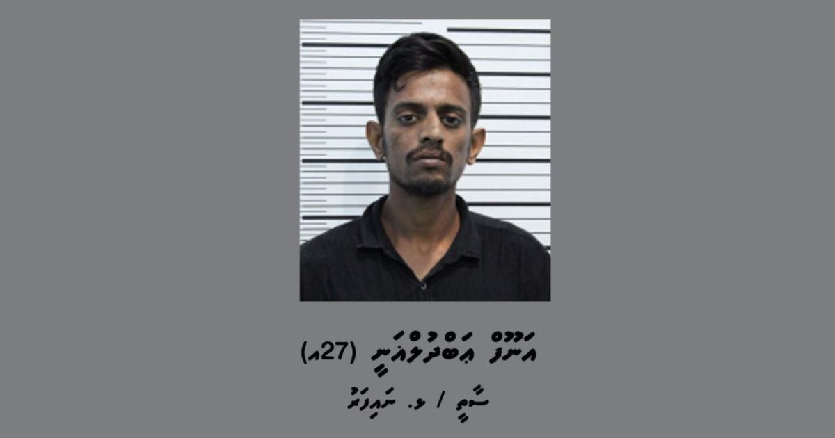 ފޭކް ސްލިޕް ފޮނުވައިގެން ވިޔަފާރިކުރާ މީހަކު ހޯދަނީ