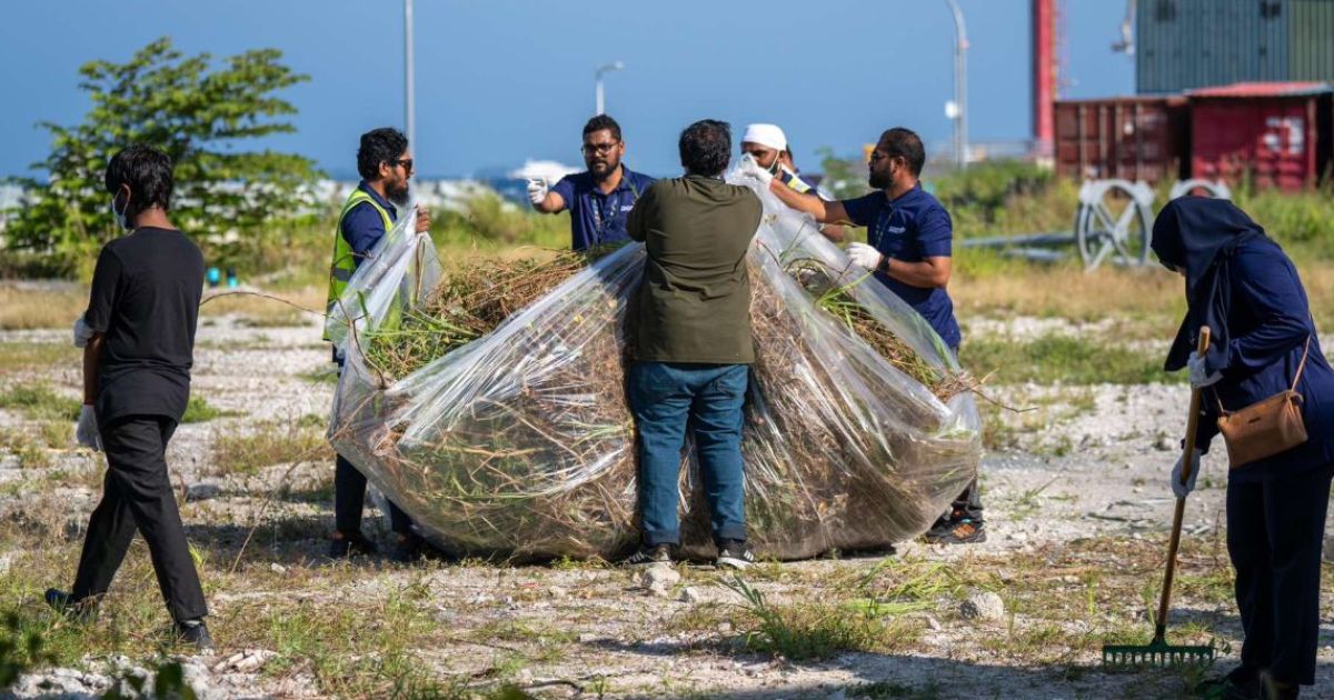 “ރޯދަ ސާފު”، އެމްއޭސީއެލްގެ 500އަށްވުރެ ގިނަ މުވައްޒަފުން