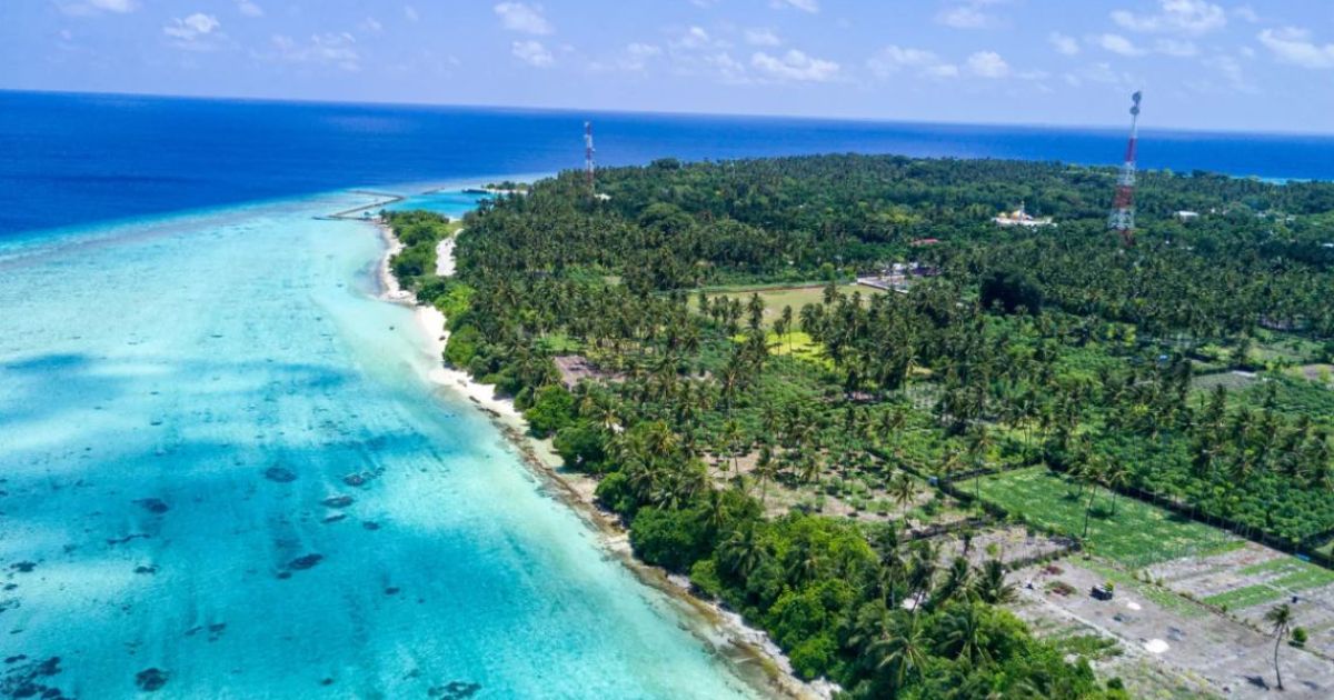 ތޮއްޑޫގައި ބަރަހަނާވެ އުޅުނު ފަތުރުވެރިޔަކު ހައްޔަރުކޮށްފި