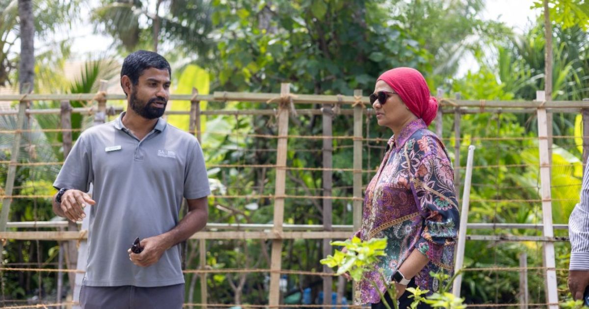ޗައިނާގެ އެހީ ކައުންސިލްތަކާއި ހަވާލުކުރަން ނިންމައިފި