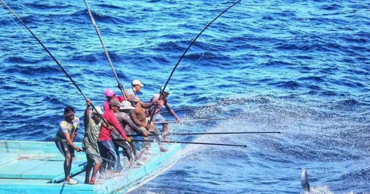 މަސްވެރިންނަށް 3.5 މިލިއަން ރުފިޔާ ދީފި