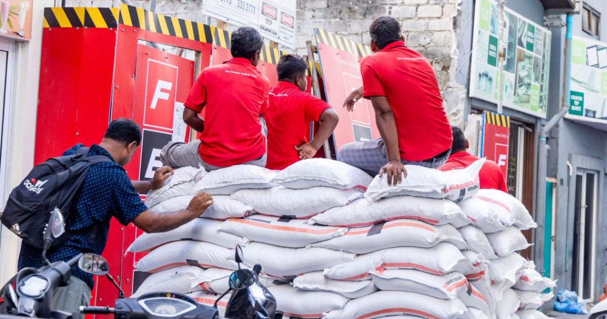 މާލެ ސަރަހައްދުގެ ލޭބާ ފޯސްގެ ސާވޭއެއް ކުރަނީ