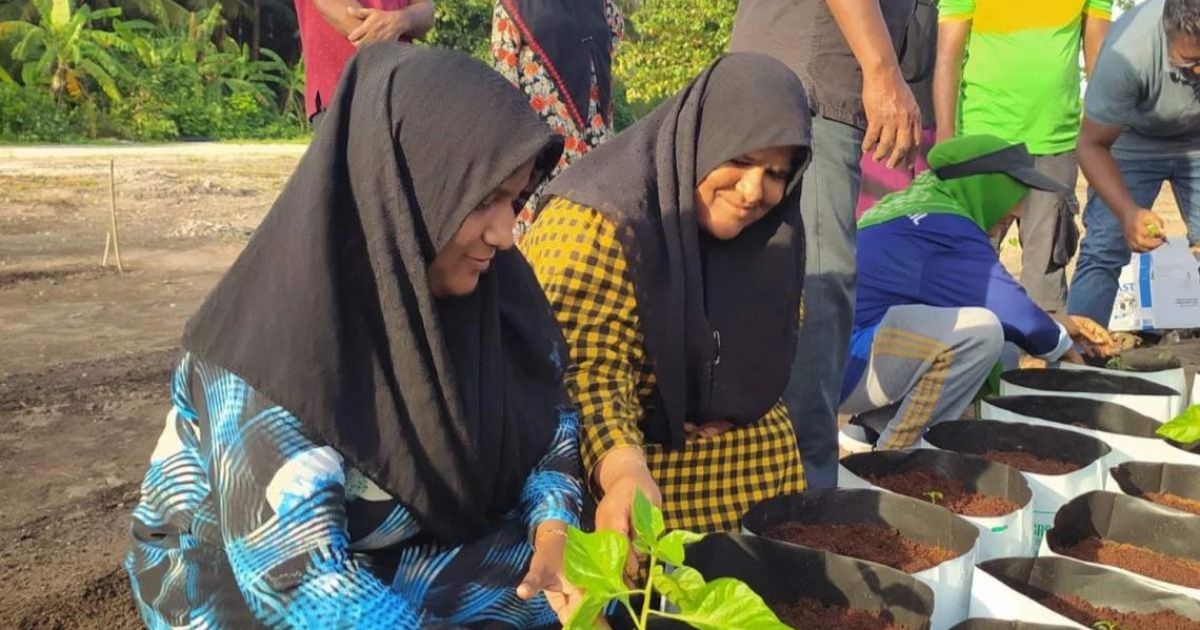 ދަނޑުވެރިކަމުގެ ތަމްރީން ޕްރޮގްރާމްތަކެއް އުތުރުގެ 26 ރަށެއްގައި