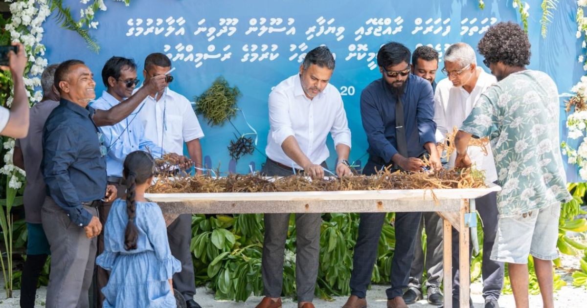 ވިޔަފާރި އުސޫލުން މޫދުވިނަ އާލާކުރަން ފަށައިފި
