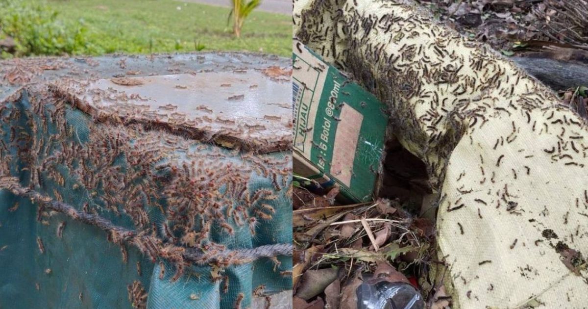 ކާޑެއްދޫ އެއަރޕޯޓު ހުވަނިން ފުރިފައި