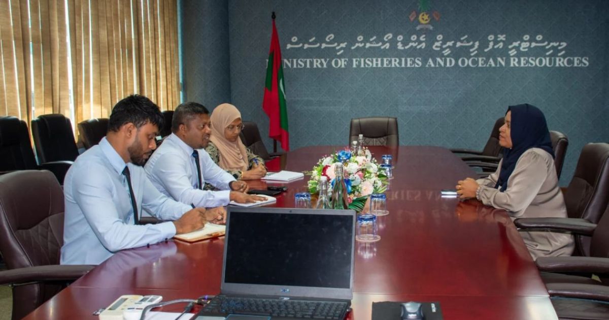 މީދޫގެ މަސްވެރިންނަށް ދިމާވެފައިވާ ދަތިތައް ޙައްލުކުރުމަށް މަޝްވަރާކޮށްފި