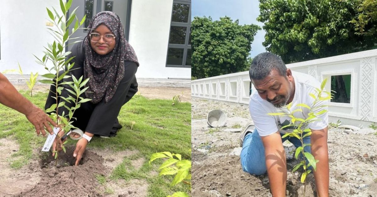 ދިގުރަށުގައި ގަސް އިންދުމުގެ ހަރަކާތެއް ކުރިއަށް ގެންގޮސްފި